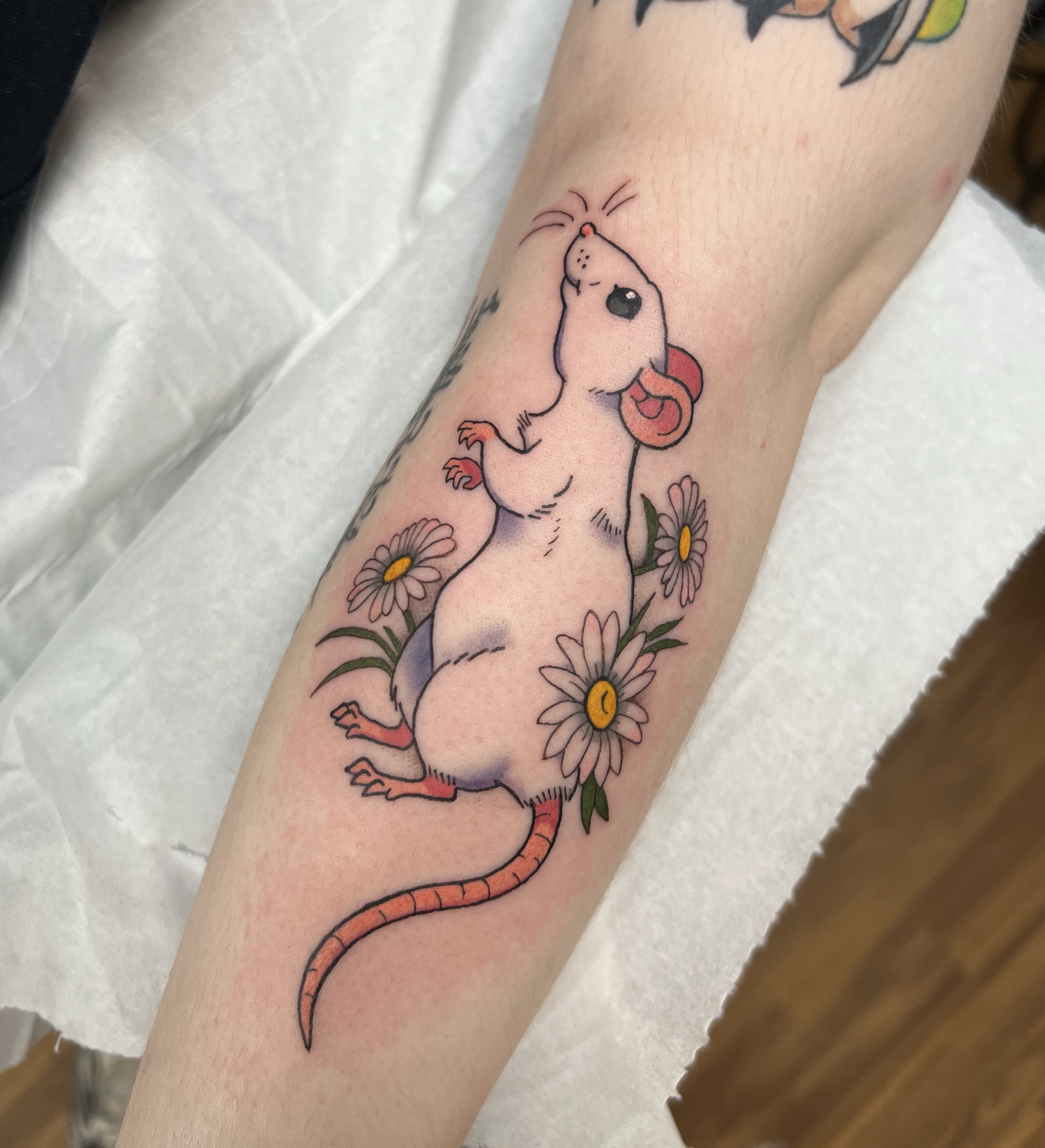 Rat with Daisies tattoo design by Chelsea Heslop - cute animal artwork
